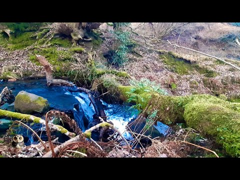 Fall Asleep Fast with the Sounds of a Relaxing Waterfall in the Woods.