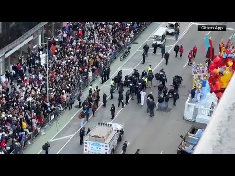 Several protesters arrested during Thanksgiving Parade demonstration