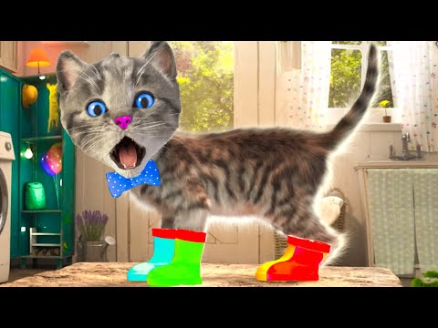 LITTLE KITTEN ADVENTURE - CAT VIDEOS AND CARTOON KITTEN ON A FUN JOURNEY