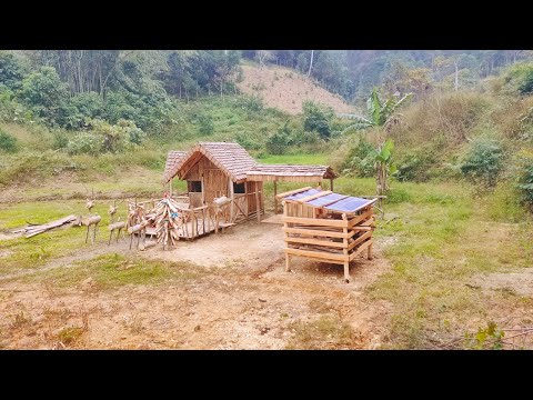 Full Video - I Spent 1 Year Alone Building A Log Cabin Off Grid.