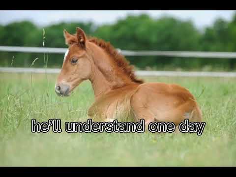 Sad Horse Edit Part 2