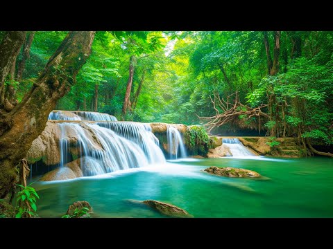 Relaxing Music For Stress Relief, Anxiety and Depressive States &bull; Heal Mind, Body and Soul