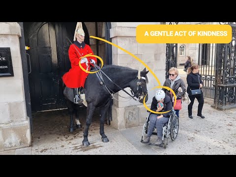 A Gentle Act of Kindness: King's Guard Moves Horse Closer to Special Lady at Horse Guards