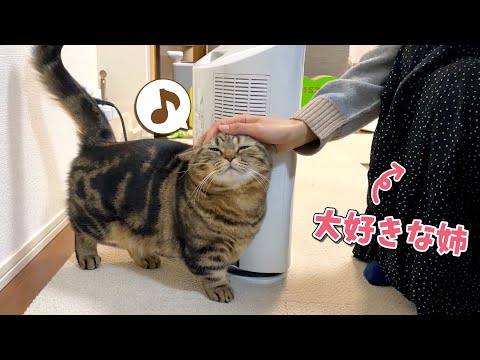 新年の挨拶に来た姉にご機嫌で甘える猫たちが可愛すぎました！