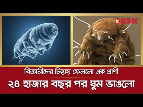 ২৪ হাজার বছর পর ঘুম ভাঙলো প্রাণীর! বিজ্ঞানীদের ঘুম হারাম! | Bdelloidea Rotifer | Science | Desh TV