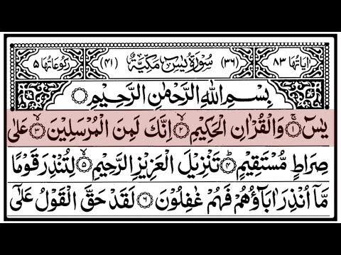 Surah Yaseen | Surah Mulk | Surah Waqiah | Surah Rahman | Calm Relaxing Quran Recitation