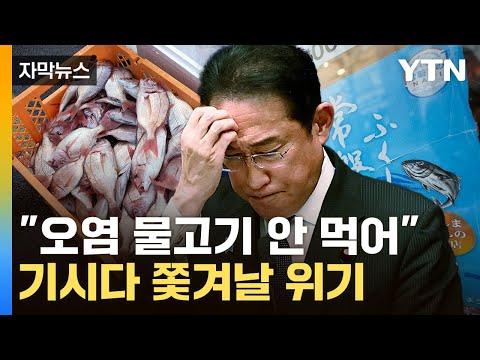 [자막뉴스] 정권 붕괴 위기...日 기시다 조여오는 '아오키의 법칙' / YTN