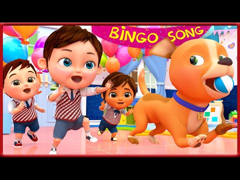 𝑵𝑬𝑾 Bingo Dog Song | More Kids Songs🎶| Banana Cartoon 3D Nursery Rhymes [HD]