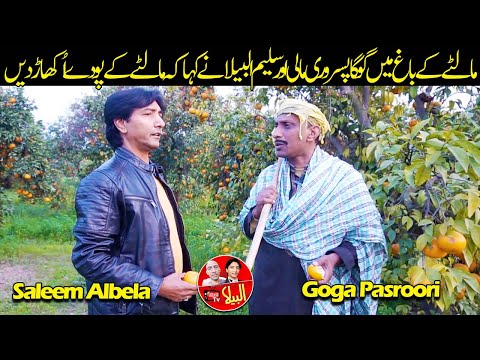 StandUp Comedy at Orange Garden | Saleem Albela and Goga Pasroori Funny