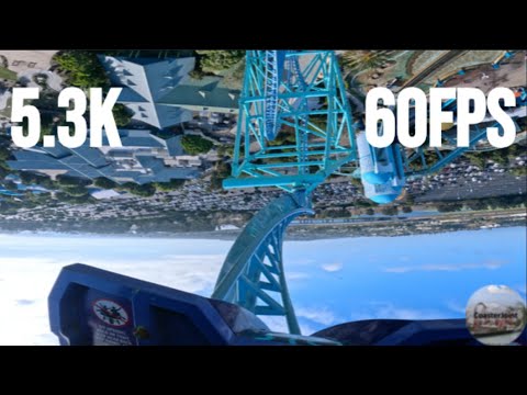 Electric Eel Front Seat 5.3K POV @60FPS SeaWorld San Diego