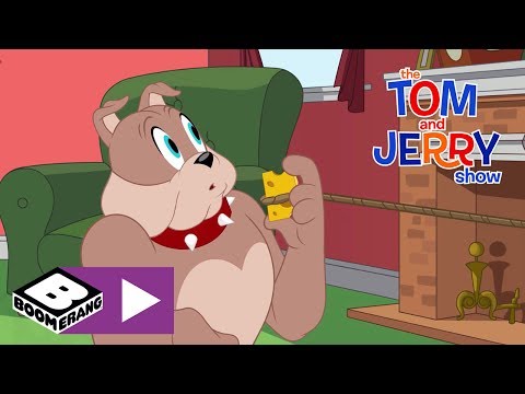 De la th&eacute;orie &agrave; la pratique | Tom et Jerry Show | Boomerang