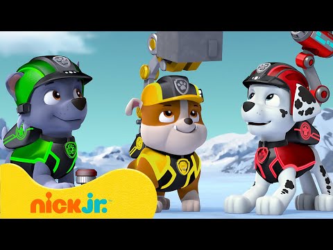 Paw Patrol - La Squadra dei Cuccioli | Il meglio di &quot;Mission PAW&quot;! 👑 con Sweetie | Nick Jr. Italia