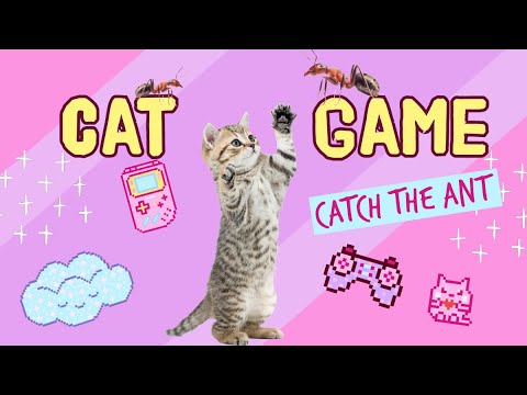 CAT GAME - Catch the Ant