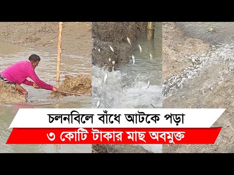 যুগান্তরে সংবাদ প্রকাশের পর চলনবিলে ১০০ কিলোমিটার খাল দখলমুক্ত