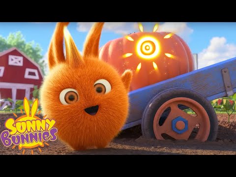 SUNNY BUNNIES - OUTDOOR FUN | SEASON 7 HITS | Cartoons for Kids