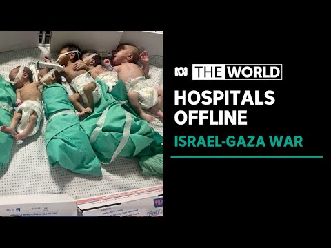 Hospitals no longer safe in Israel-Gaza war | The World