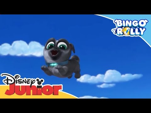 Las mejores canciones de Bingo y Rolly | Disney Junior Oficial