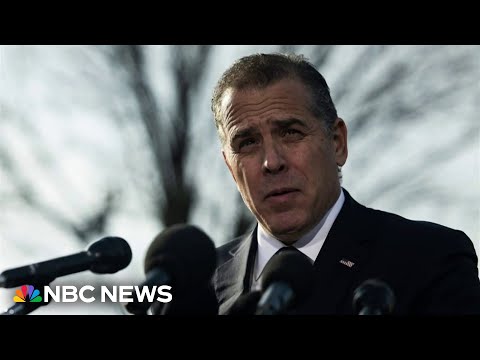 House Committees demand White House provide documents on Hunter Biden