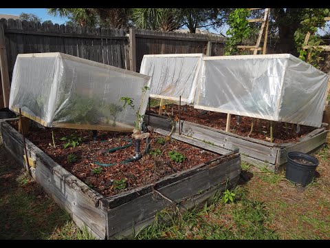 A Cheap Mini Green House without Building A Green House