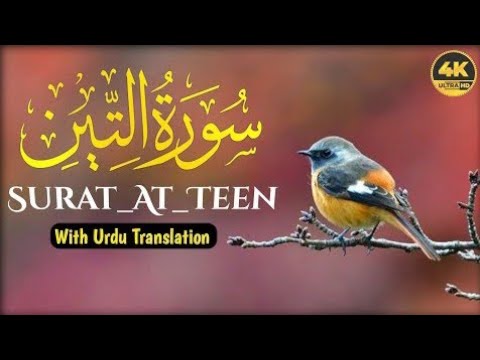 Sorah at teen | beautiful recitation | Qari Muhammad Kashif Sialvi | at tin