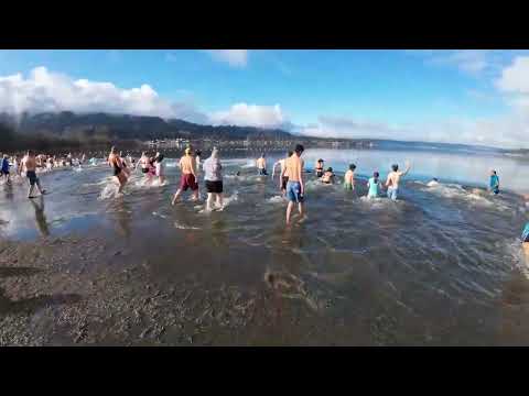 2023 Polar Plunge at Lake Sammamish State Park - January 1, 2023