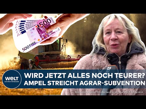 BAUERN-PROTESTE: &quot;Dann wird alles noch teurer!&quot; Ampel baut Agrar-Subventionen ab - Ihre Meinung