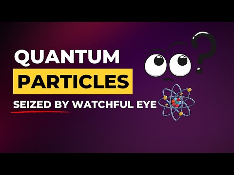The Quantum Zeno Effect - Why Observation Freezes Particles