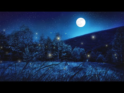 Relaxing Sleep Music and Night Nature Sounds: Soft Crickets, Beautiful Piano, Fall Asleep