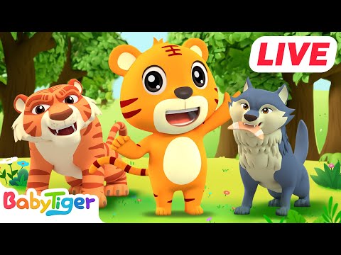 LIVE🔴 Baby Shark and Healthy Habit Songs for Kids | BabyTiger Best Nursery Rhymes