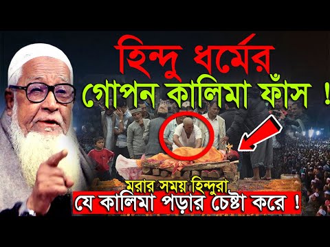 হিন্দু ধর্মের গোপন কালিমা ফাঁস ! আল্লামা লুৎফুর রহমান নতুন ওয়াজ , Allama Lutfur Rahman New Waz 2024