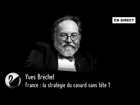 France : la strat&eacute;gie du canard sans t&ecirc;te ? Yves Br&eacute;chet [EN DIRECT]