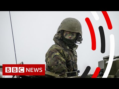 What is the role of Nato in the Russia-Ukraine crisis? - BBC News