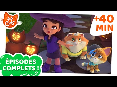 44 Chats | 40 MINUTES  | Marathon d&lsquo;Halloween 🎃👻🧛 | &Eacute;pisodes complets | Friandises ou b&ecirc;tises?