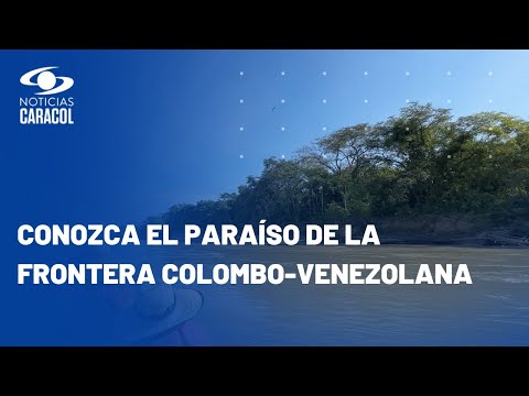 Paseo por el r&iacute;o Arauca: para&iacute;so de delfines en la frontera colombo-venezolana