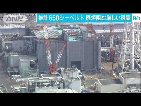 数十秒で死に・・・福島原発の廃炉阻む650シーベルト（2017/03/21「Abema news」放送）