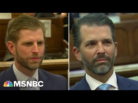 &lsquo;How stupid do they have to be?&rsquo;: Michael Cohen blasts Don Jr. and Eric's NY civil trial testimony