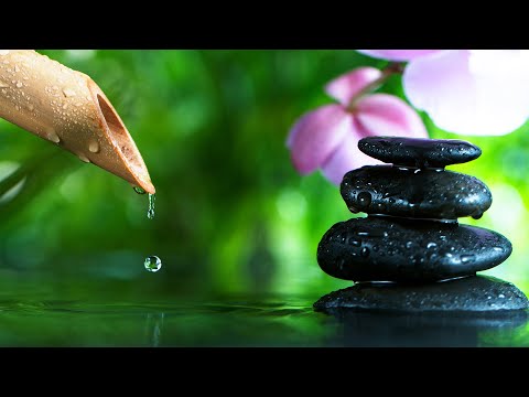 Relaxing music 24/7 - Music to relieve stress, meditation, spa, zen, relaxing music, yoga