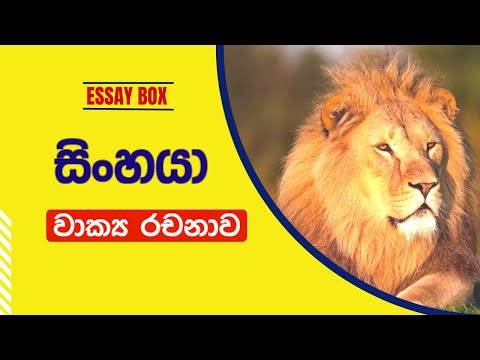 සිංහයා-වාක්&amp;zwj;ය රචනාව | Lion Sinhala Essay | sinhaya gena rachana |සතුන් පිළිබඳ වැකි ලිවීම |Essay Box!