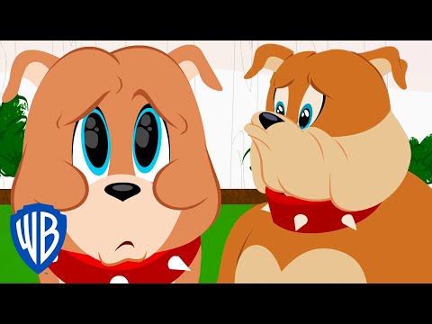 Tom &amp; Jerry | Best of Spike and Tyke | WB Kids