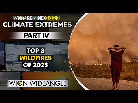 Record year of Wildfires: Canada, Hawaii, Greece | WION Wideangle