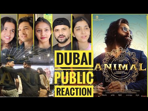 Animal Movie Released in Dubai| Dubai public reaction | Ranveer Kapoor | 