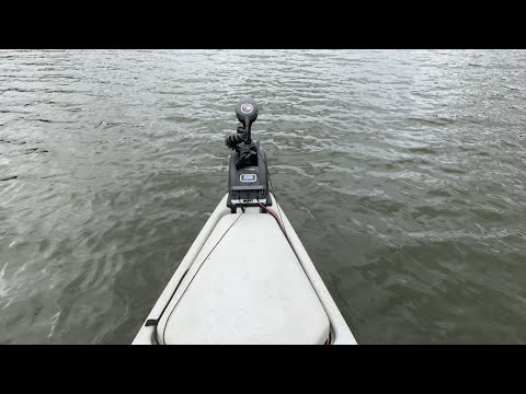 Livestream | Night Time Kayak Catfishing