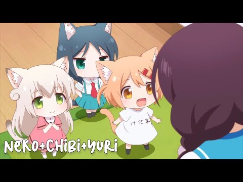 All In One | Những B&eacute; M&egrave;o Cute | T&oacute;m Tắt Anime | Makorx