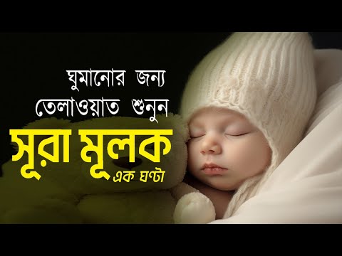 সূরা মুলক এর স্বর্গীয় তিলাওয়াতে আত্মাকে প্রশান্ত করুন | Surah Al-Mulk Recited by Alaa Aqel