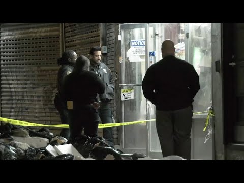 Would-be robber shot, killed at store in the Bronx