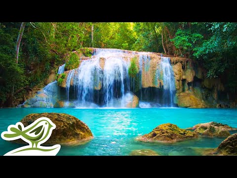 Beautiful Piano Music 24/7 &bull; Relaxing Music for Sleep, Studying &amp; Relaxation