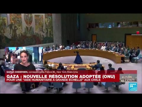 Gaza : le Conseil de s&eacute;curit&eacute; de l'ONU exige une aide &quot;&agrave; grande &eacute;chelle&quot; &bull; FRANCE 24