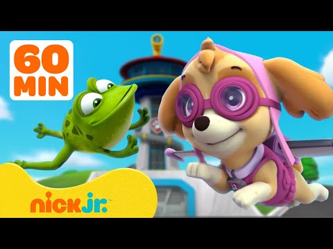 PAW Patrol Lookout Tower Animal Rescues! w/ Skye, Chase &amp;amp; Rocky | 1 Hour Compilation | Nick Jr.