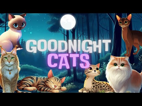 Goodnight Cats?? Soothing Bedtime Story for Babies and Toddlers with Calming Melodies