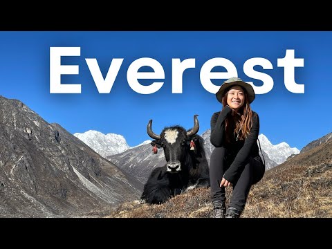 Everest Base Camp Trek | Hiking 130 km in the Himalayas